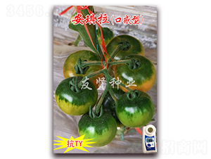 ������-��TY����ӣ��С��������-������ҵ