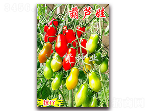 ��«��-��TY����ӣ��С��������-������ҵ