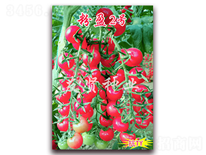 ��ӯ2��-��TY����ӣ��С��������-������ҵ