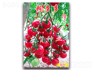 �۶��-��TY����ӣ��С��������-������ҵ