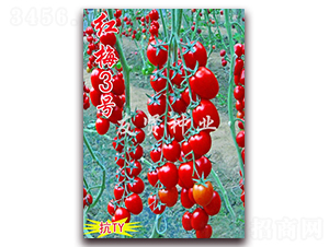 ��÷3��-��TY����ӣ��С��������-������ҵ