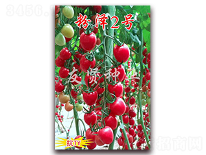 ����2��-��TY����ӣ��С��������-������ҵ