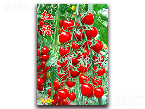 �츣-��TY����ӣ��С��������-������ҵ