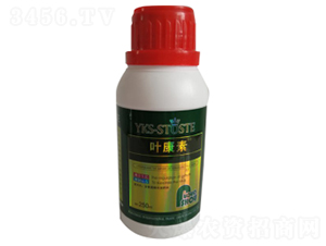 250ml������Ҷ���-Ҷ����-�ն���