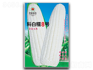 �ư�Ŵ8��-��������-�߿���ҵ