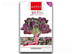 �Ⱥ�2��-���Ȳ�����-�߿���ҵ