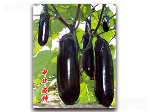 �л�����-��������-�ѹ���ҵ