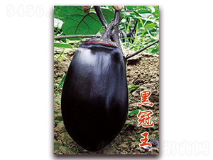 �ڹ���-��������-�ѹ���ҵ