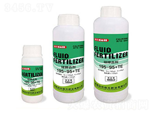 ��غϼ�195-95+TE-̩���ҵ