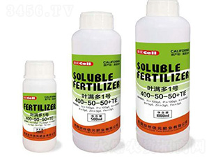 Ҷ����1��400-50-50+TE-̩���ҵ
