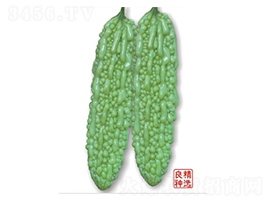 ��̩���-�������-�߿���ҵ