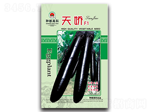 �콾-��������-�߿���ҵ