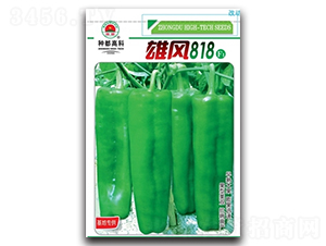 �۷�818-��������-�߿���ҵ