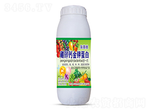 1000ml��п�ƽ�ص���-ʥ����