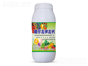500ml��п�߼ظ߸�-ʥ����