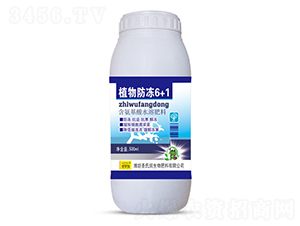 ֲ�����6+1-ʥ����