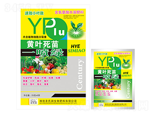 25g��Ҷ����һ����-ʥ����