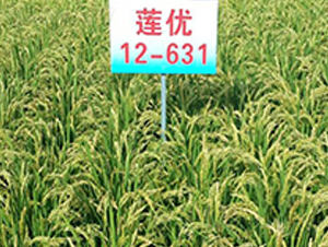 ����12-631-ˮ������-����ũҵ