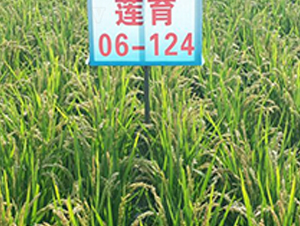 ����06-124-ˮ������-����ũҵ