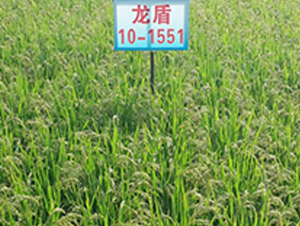 ����10-1551-ˮ������-����ũҵ