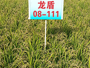 ����08-111-ˮ������-����ũҵ