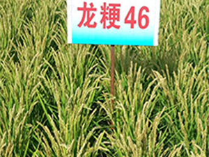 ����46-ˮ������-����ũҵ
