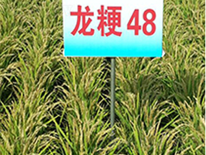 ����48-ˮ������-����ũҵ