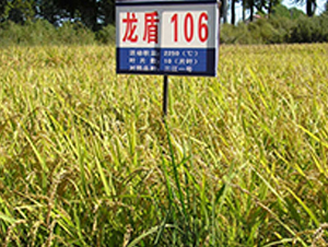 ����106-ˮ������-����ũҵ