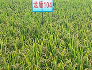 ����104-ˮ������-����ũҵ