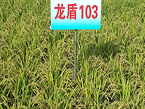����103-ˮ������-����ũҵ