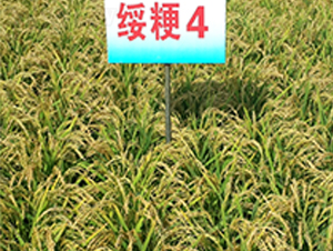 �羬4-ˮ������-����ũҵ