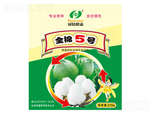 ȫ��5��-������ҵ