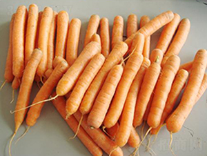 С����ʳ���ܲ�-���ܲ�����-�̳�����