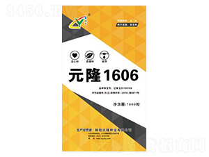 Ԫ¡1606-Ԫ¡��ҵ