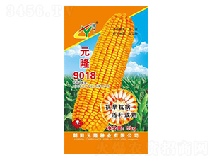 Ԫ¡9018-Ԫ¡��ҵ