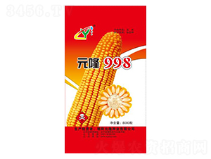 Ԫ¡998-Ԫ¡��ҵ