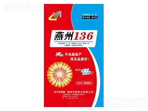 ����136-Ԫ¡��ҵ