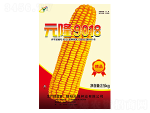Ԫ¡9018����-Ԫ¡��ҵ