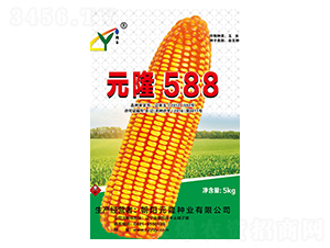 Ԫ¡588-Ԫ¡��ҵ
