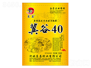 ����40-����