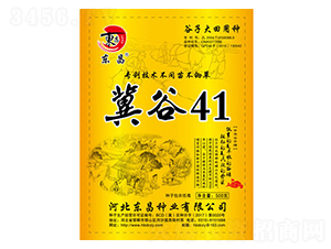 ����41-����