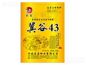 ����43-����