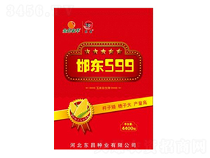 ����599-����
