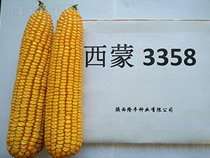 ����3358-¡����ҵ