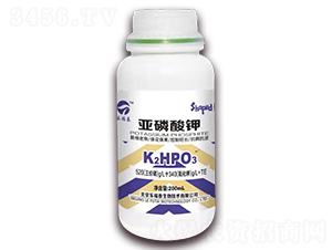 200ml�������-�ָ�̩