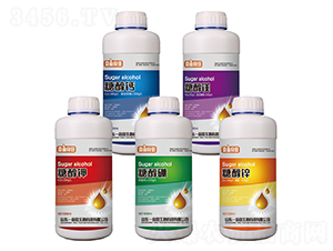 �Ǵ�ϵ��Ҷ��ʣ�500g��-ҼĶ����