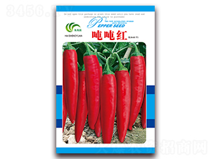 �ֶֺ�-�콷����-����԰