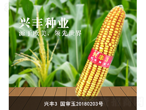 �˷�3-�˷���ҵ