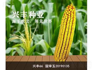 �˷�66-�˷���ҵ