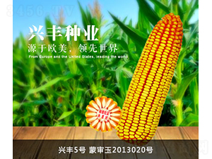�˷�5��-�˷���ҵ